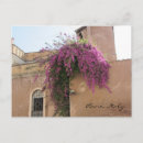 Recherche de ancienne fleur cartes postales Fleurs