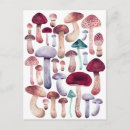 Recherche de champignons sauvages cartes postales Vintage