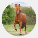 Recherche de icelandic autocollants Icélandic