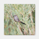 Recherche de colibri maison deco Faune