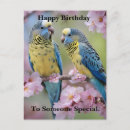 Recherche de harmonie cartes postales Bleu