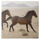 Recherche de courant carreaux Cheval