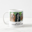 Recherche de cocker tasses Animaux