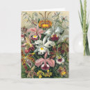Suche nach haeckel karten Heckel