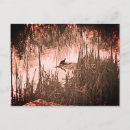 Suche nach gefährdete tiere karten Erhaltung