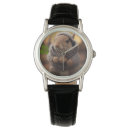 Recherche de écureuils montres Animal