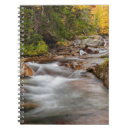 Suche nach birke kleine notizbücher Wald