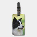 Suche nach border collie gepäckanhänger Haustier