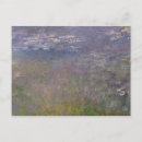 Recherche de agapanthus cartes postales Monet