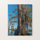 Recherche de marécage puzzles Usa