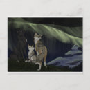 Recherche de esprit loup cartes postales Renard