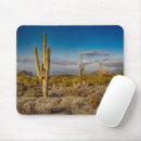 Recherche de saguaro électronique Landscape