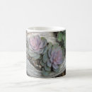 Suche nach echeveria tassen Natur