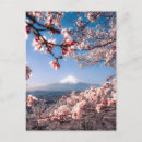 Suche nach printemps postkarten Rose