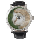 Recherche de grange montres Barn owl