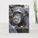 Suche nach primates karten Für ihn