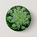 Recherche de dentelle badges Délicat