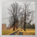 Recherche de de arbre posters Nature