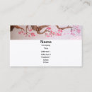 Recherche de changements cartes visite Rose