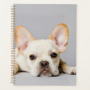 Recherche de chien de taureau bureau fournitures Bulldog