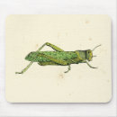 Recherche de studio tapis souris Studio de vision