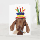 Suche nach lustige beleidigungen karten Für ihn