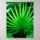 Suche nach tropical leaves poster Palm fronds