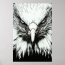 Suche nach schwarz weißer adler poster Vogel