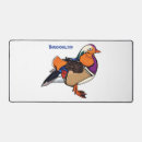 Recherche de aix électronique Canard
