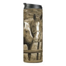 Recherche de jument tasses Ferme