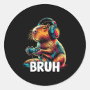 Suche nach capybara aufkleber Cool