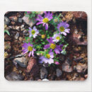 Suche nach blutiger mousepads Reichlich