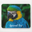 Suche nach bunter papagei mousepads Exotisch