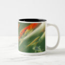 Recherche de carpe koi tasses Horizontal