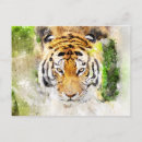 Recherche de tête tigre cartes postales Nature