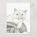 Recherche de dessin chat crayon cartes postales Mignon