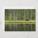 Suche nach finland karten Landschaft
