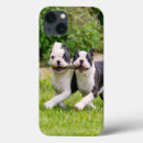 Recherche de chien heureux iphone coques Chiot