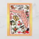Suche nach vintage florida postkarte postkarten Darstellung