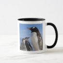 Recherche de gentoo tasses Faune