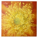 Recherche de tucson carreaux Fleurs