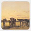 Suche nach afrikanische elefanten aufkleber Sonnenuntergang