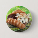 Recherche de panda rouge badges Nature