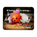 Recherche de seau magnets Animaux