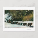 Suche nach yukon postkarten Hund