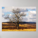 Suche nach entfernten poster Landschaft