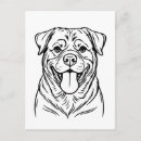Recherche de braque cartes postales Chiot