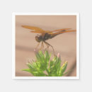 Recherche de dragonfly serviettes Insecte