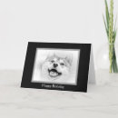 Suche nach lächelnder hund karten Niedlich