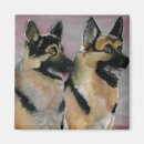 Suche nach schutzhund magnete Gsd